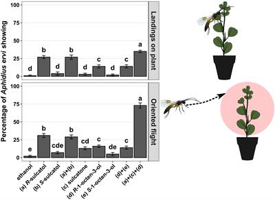 Small volatile lipophilic molecules induced belowground by aphid attack elicit a defensive response in neighbouring un-infested plants